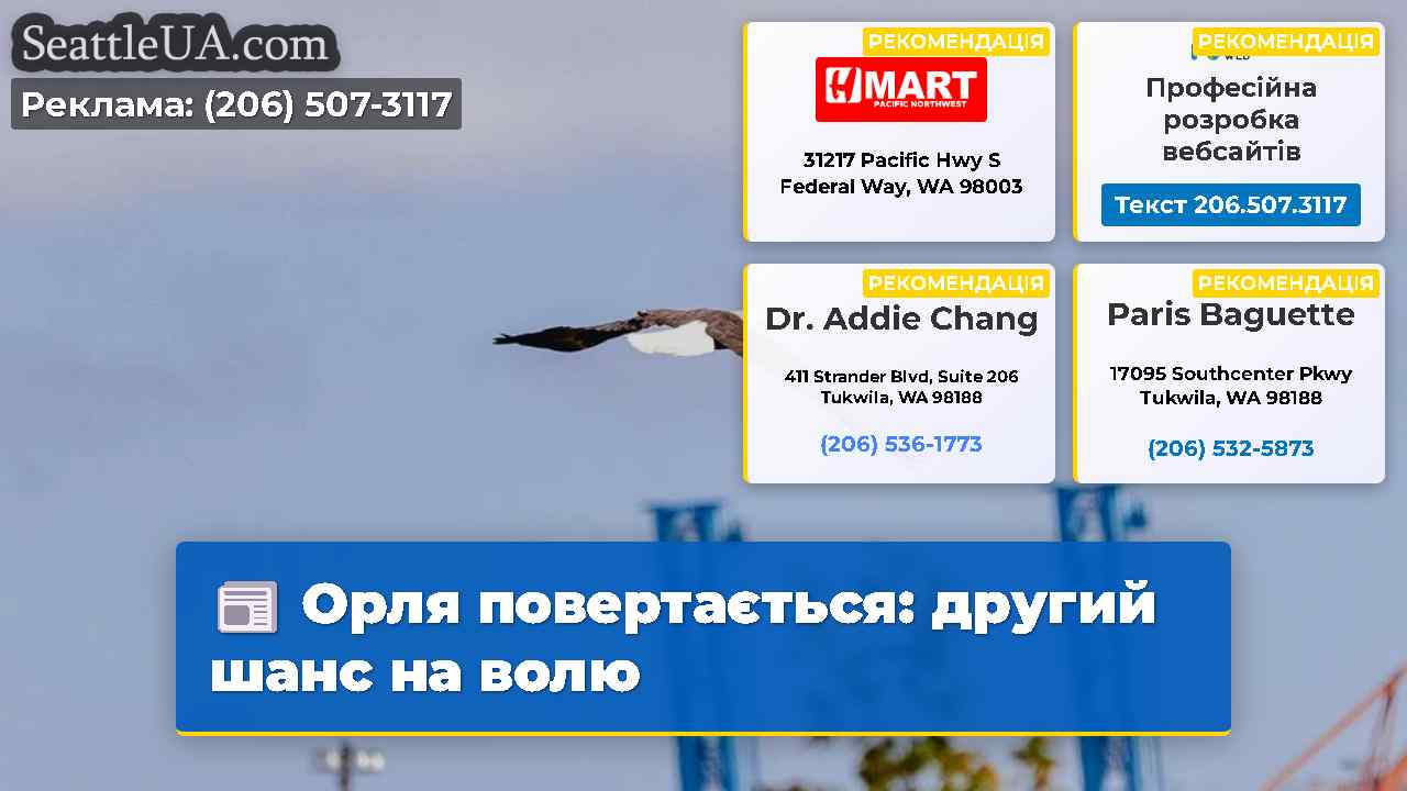 Орля повертається: другий шанс на волю