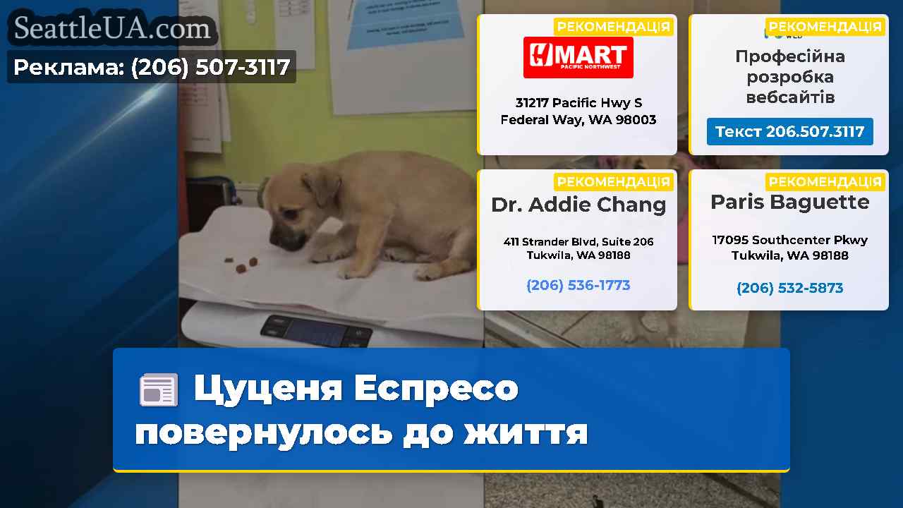 Цуценя Еспресо повернулось до життя