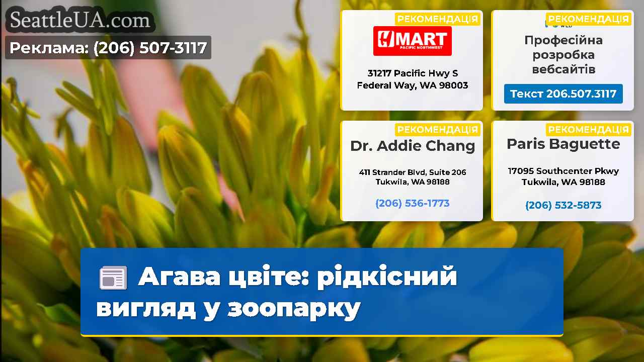 Агава цвіте: рідкісний вигляд у зоопарку