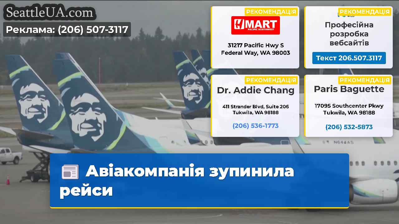 Авіакомпанія зупинила рейси