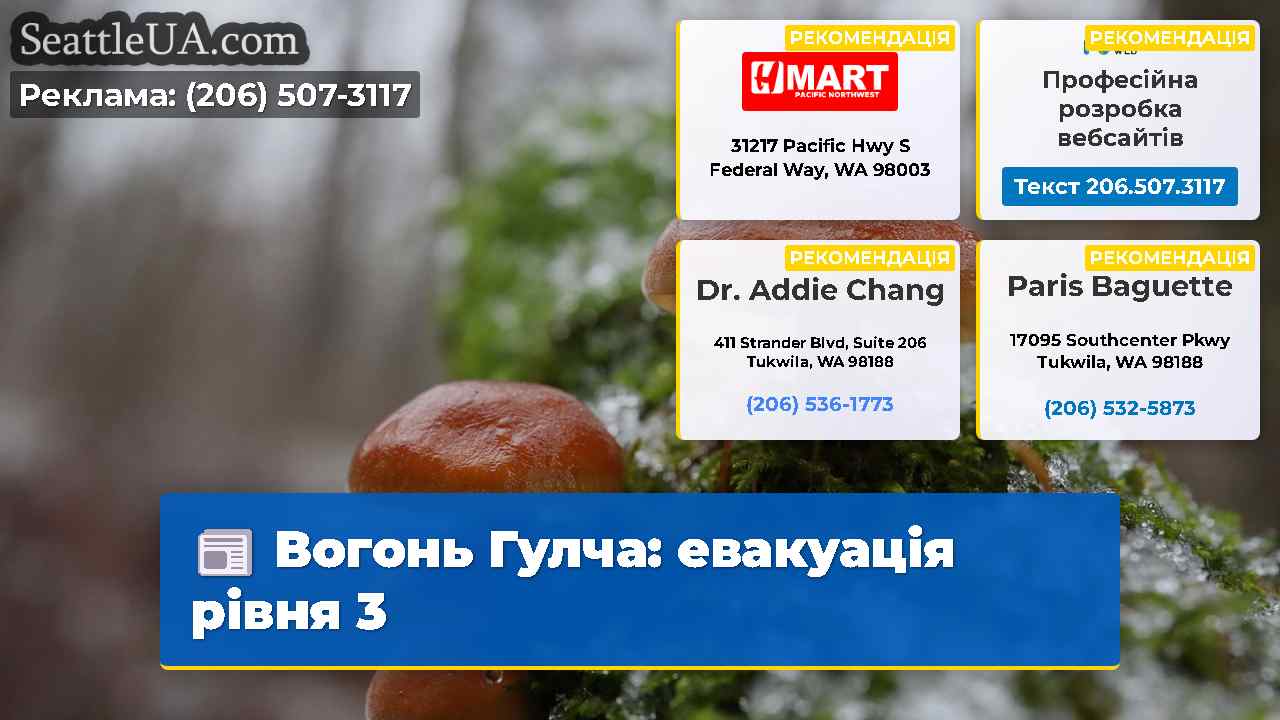 Вогонь Гулча: евакуація рівня 3