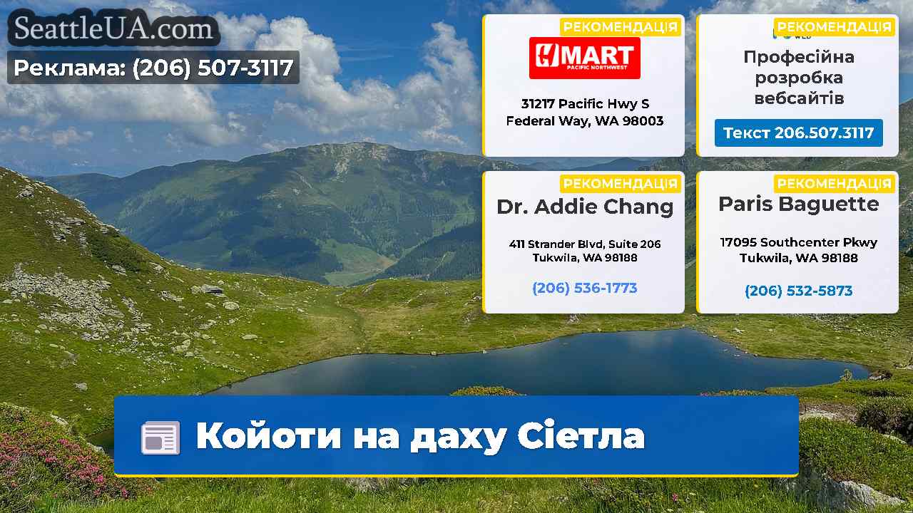 Койоти на даху Сіетла