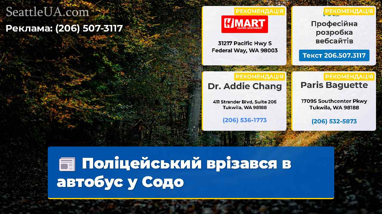 Поліцейський врізався в автобус у Содо
