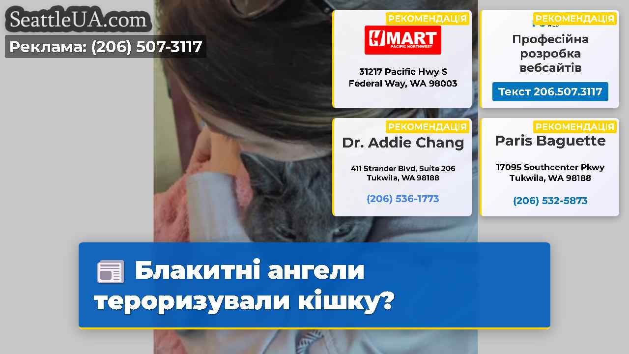 Блакитні ангели тероризували кішку?