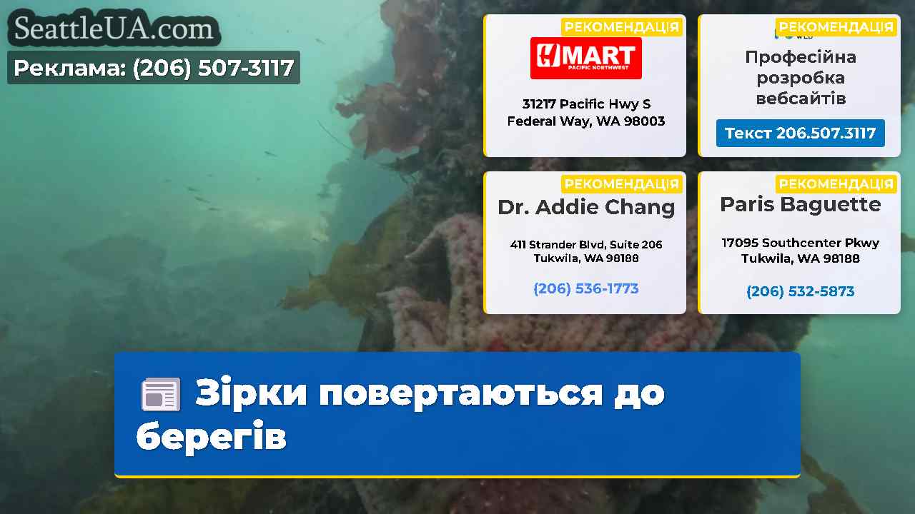 Зірки повертаються до берегів