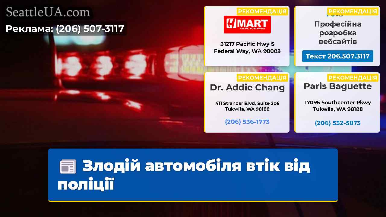 Злодій автомобіля втік від поліції