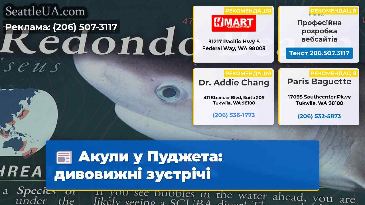 Акули у Пуджета дивовижні зустрічі