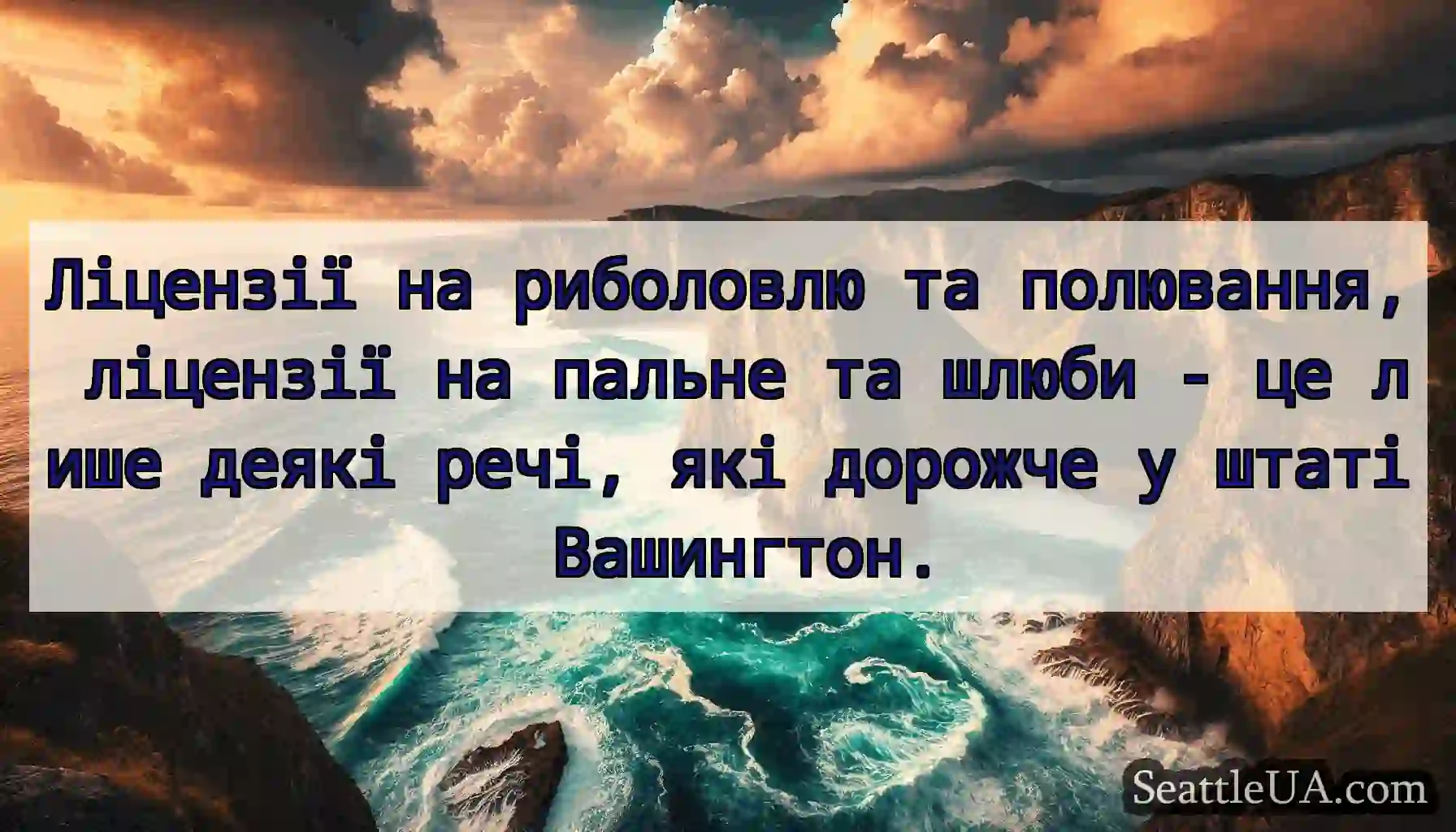 Ліцензії на риболовлю та полювання, ліцензії на