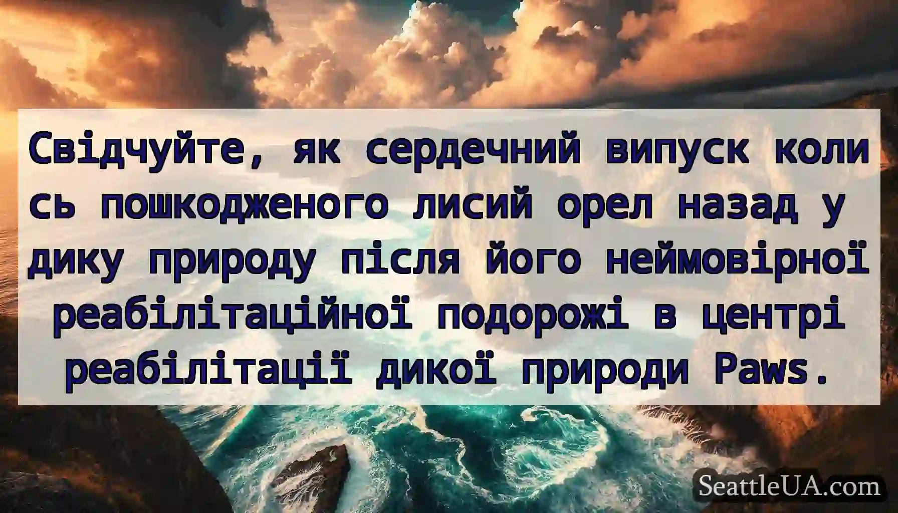 Свідчуйте, як сердечний випуск колись