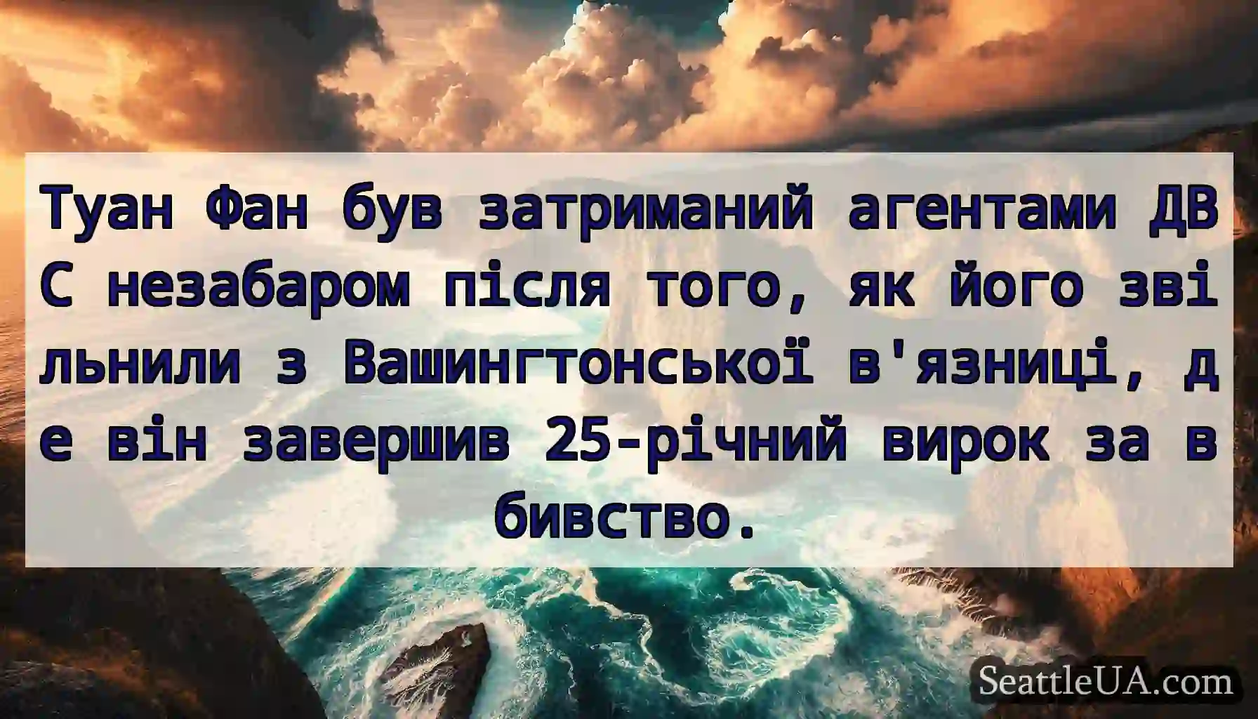 Туан Фан був затриманий агентами ДВС незабаром