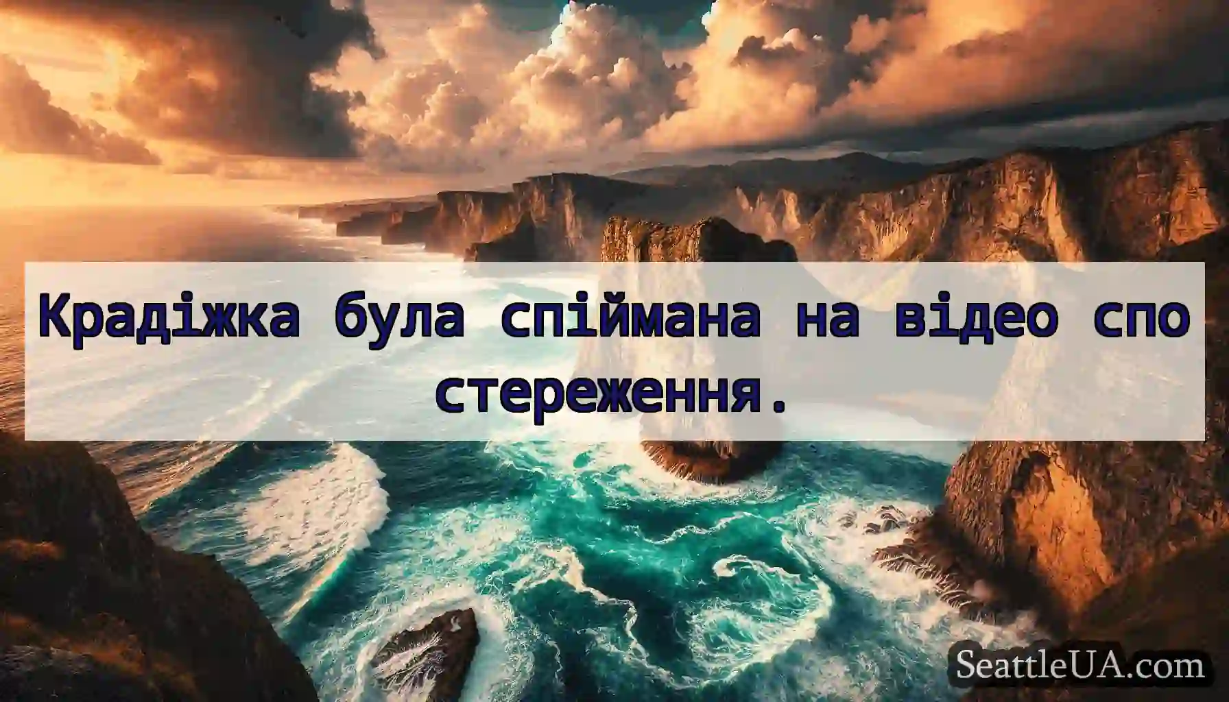 Крадіжка була спіймана на відео спостереження.