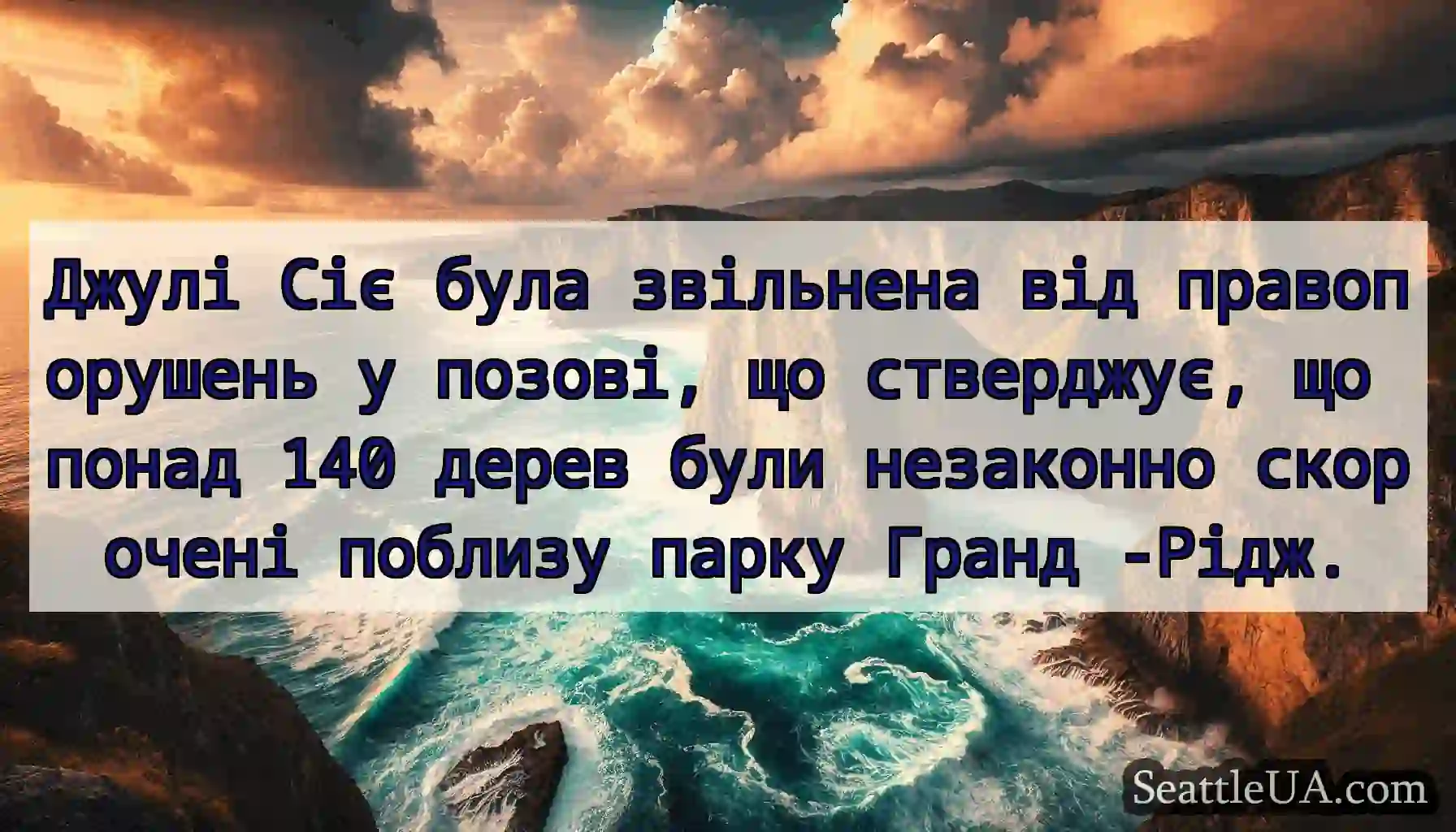 Джулі Сіє була звільнена від правопорушень у