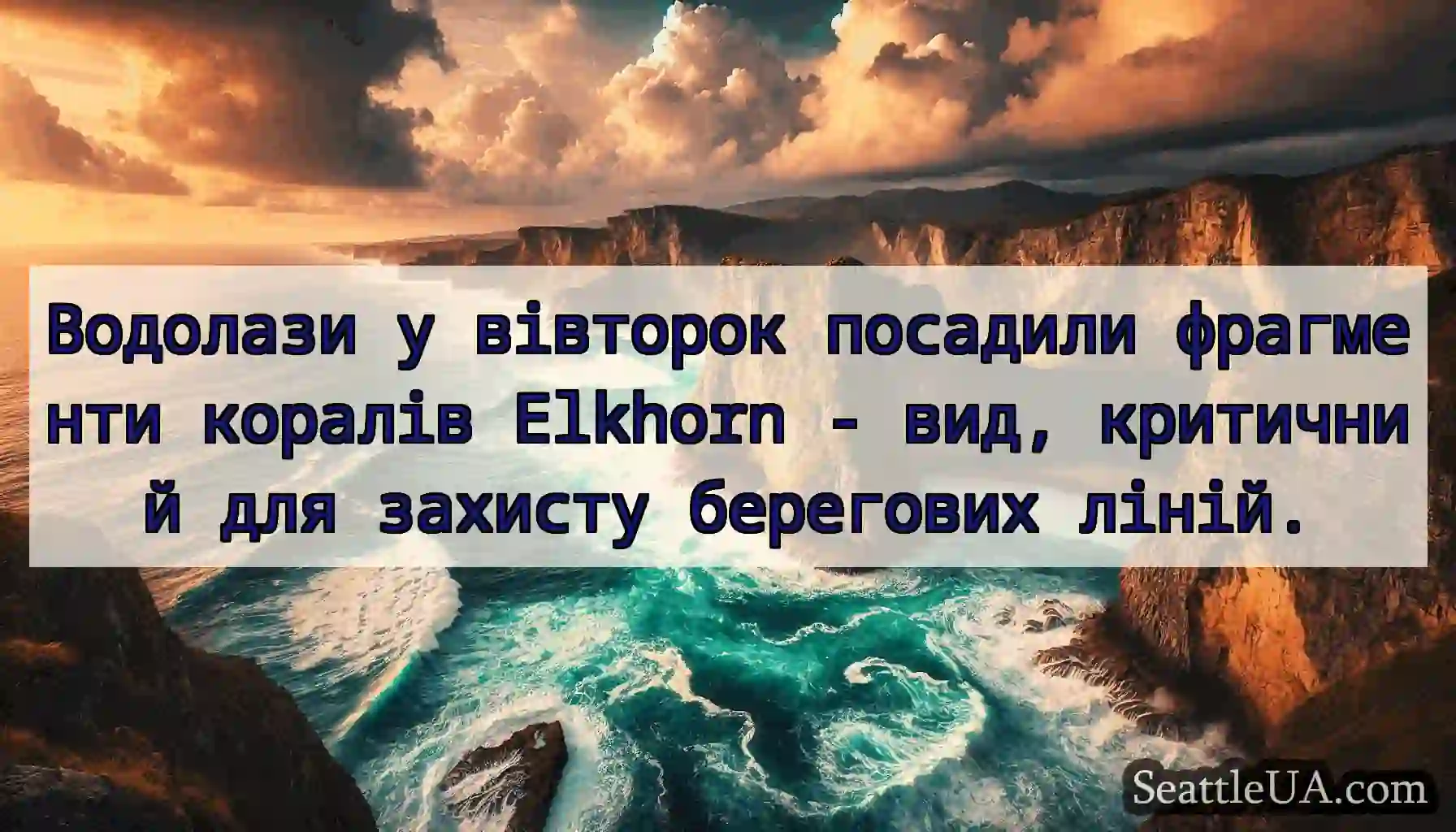 Водолази у вівторок посадили фрагменти коралів