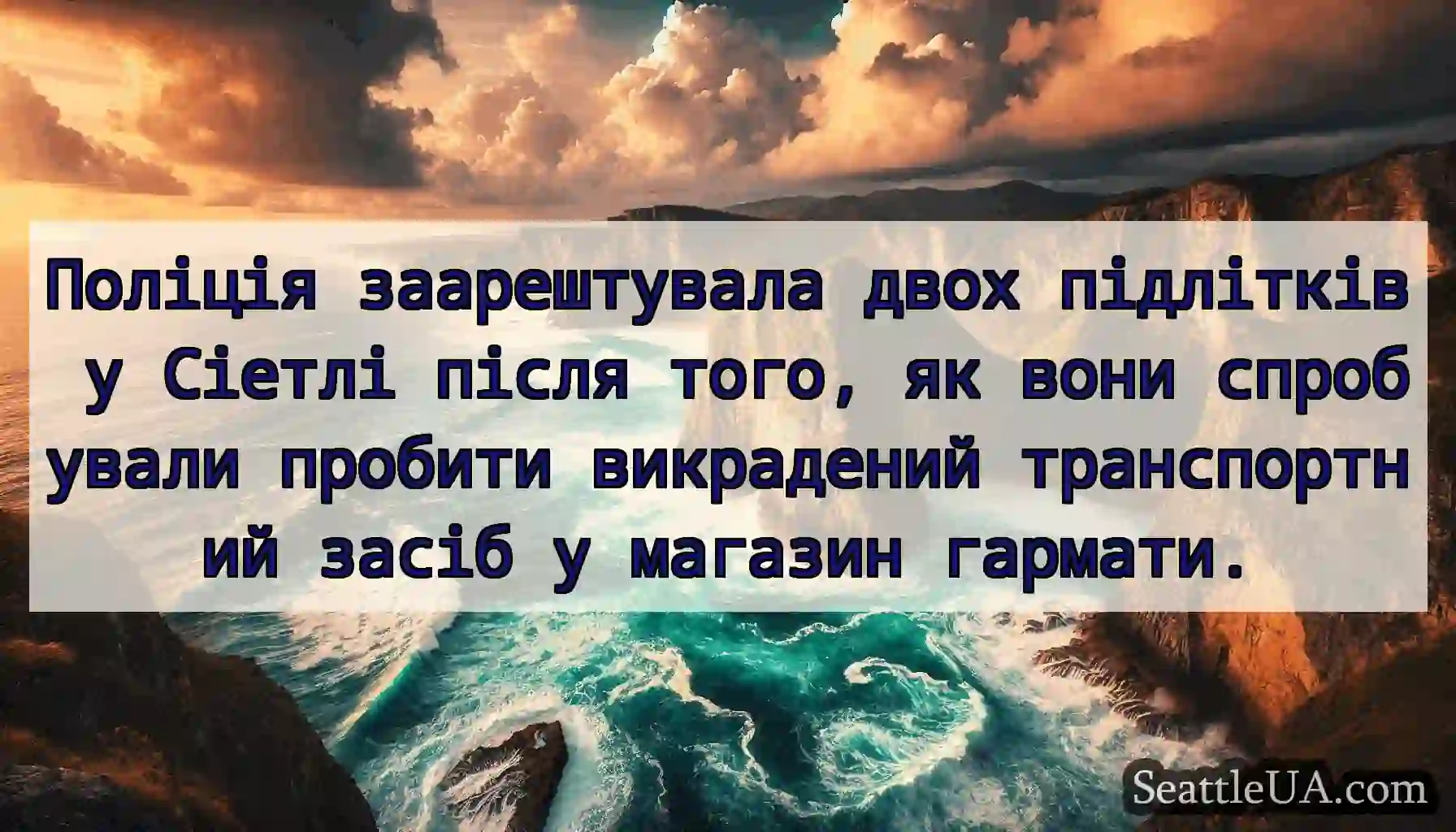 Поліція заарештувала двох підлітків у Сіетлі