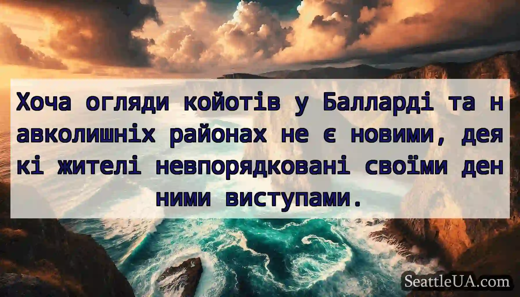 Хоча огляди койотів у Балларді та навколишніх