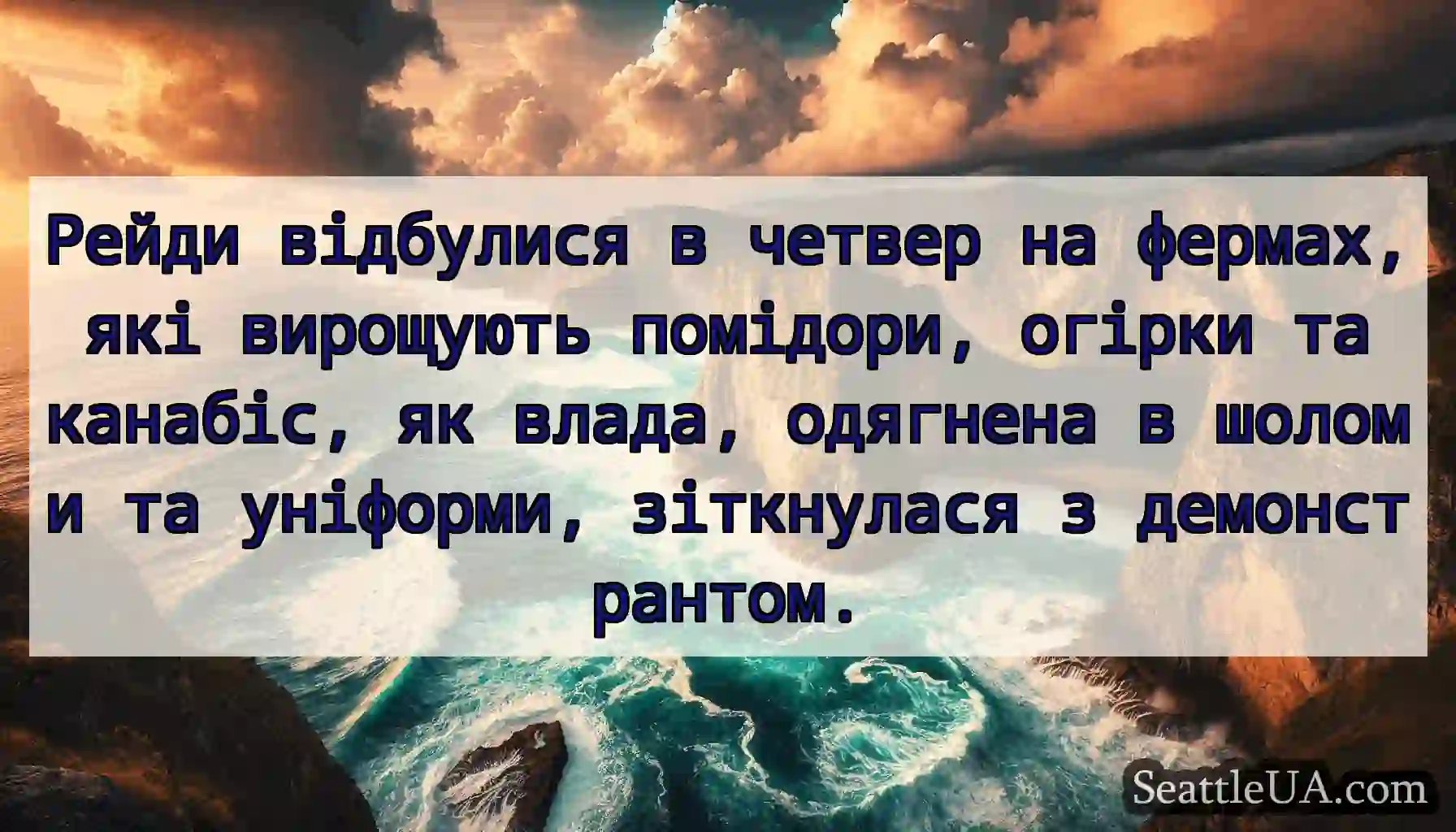 Рейди відбулися в четвер на фермах, які вирощують