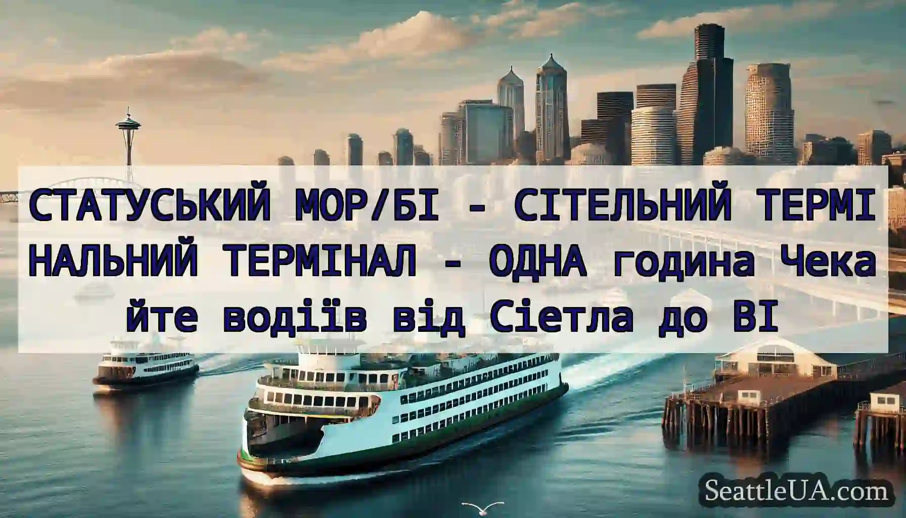 СТАТУСЬКИЙ МОР/БІ - СІТЕЛЬНИЙ ТЕРМІНАЛЬНИЙ