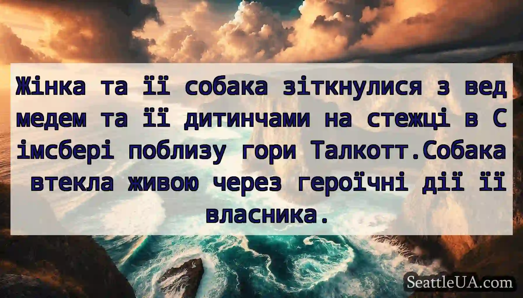 Жінка та її собака зіткнулися з ведмедем та її