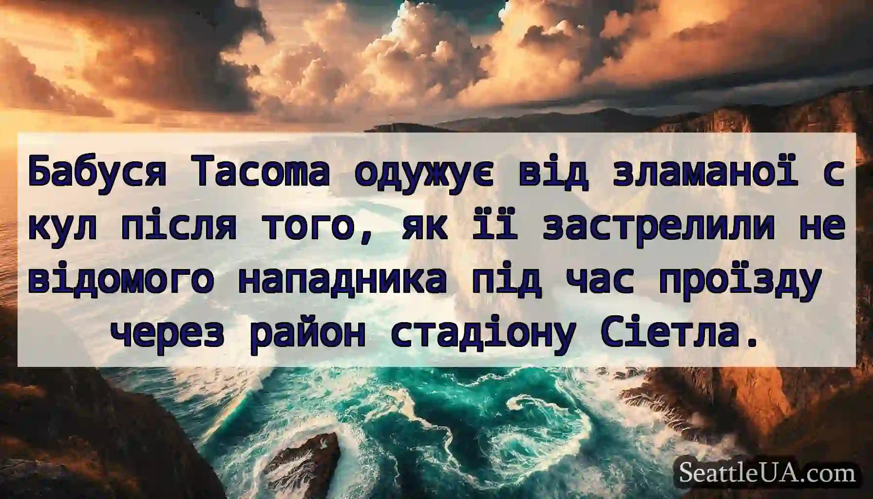 Бабуся Tacoma одужує від зламаної скул після