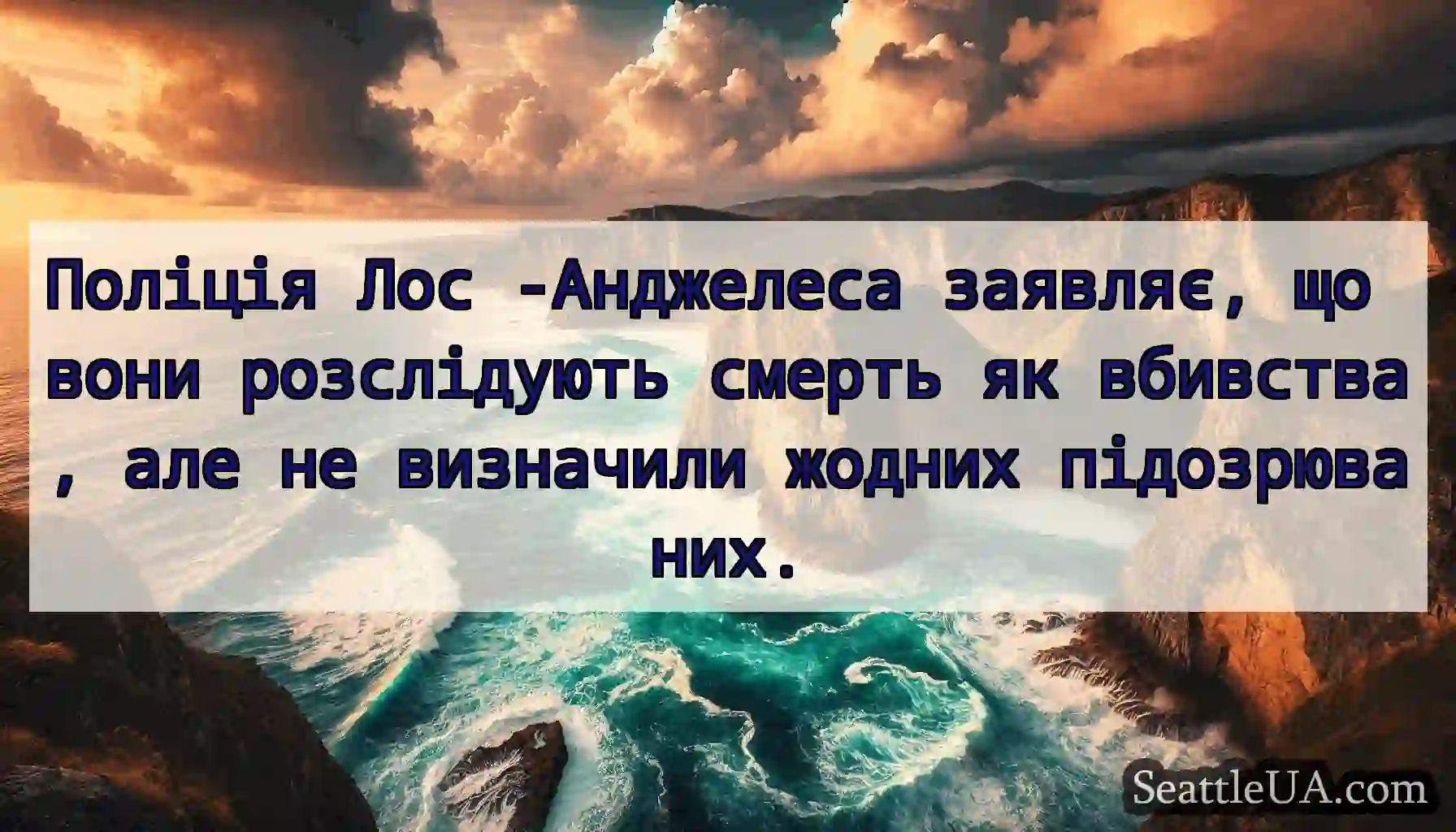 Поліція Лос -Анджелеса заявляє, що вони