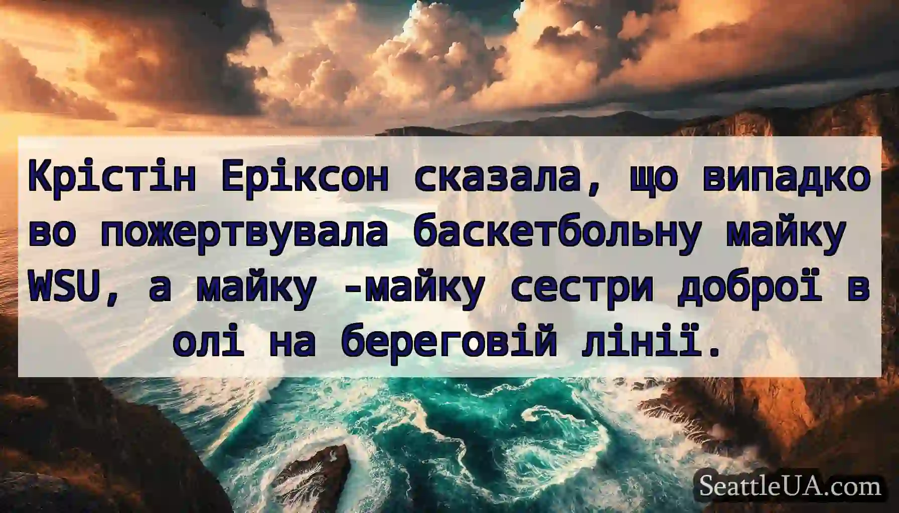 Крістін Еріксон сказала, що випадково