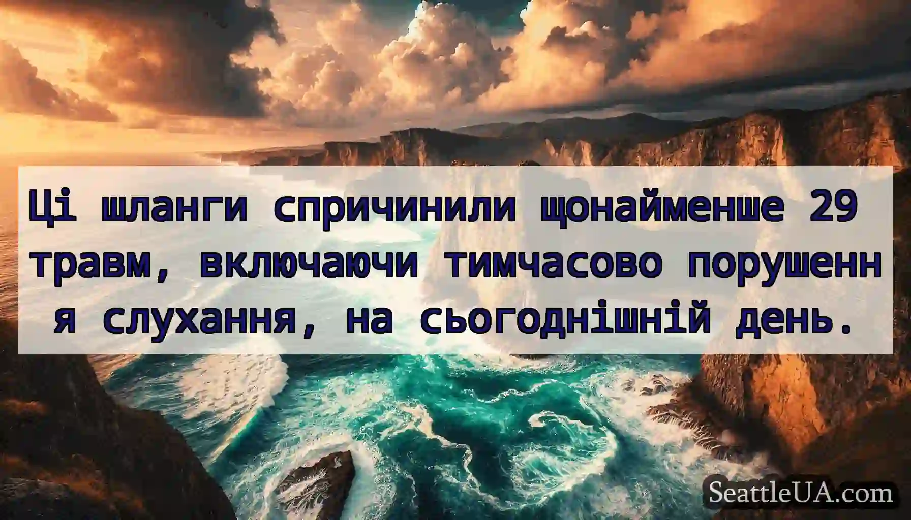 Ці шланги спричинили щонайменше 29 травм,