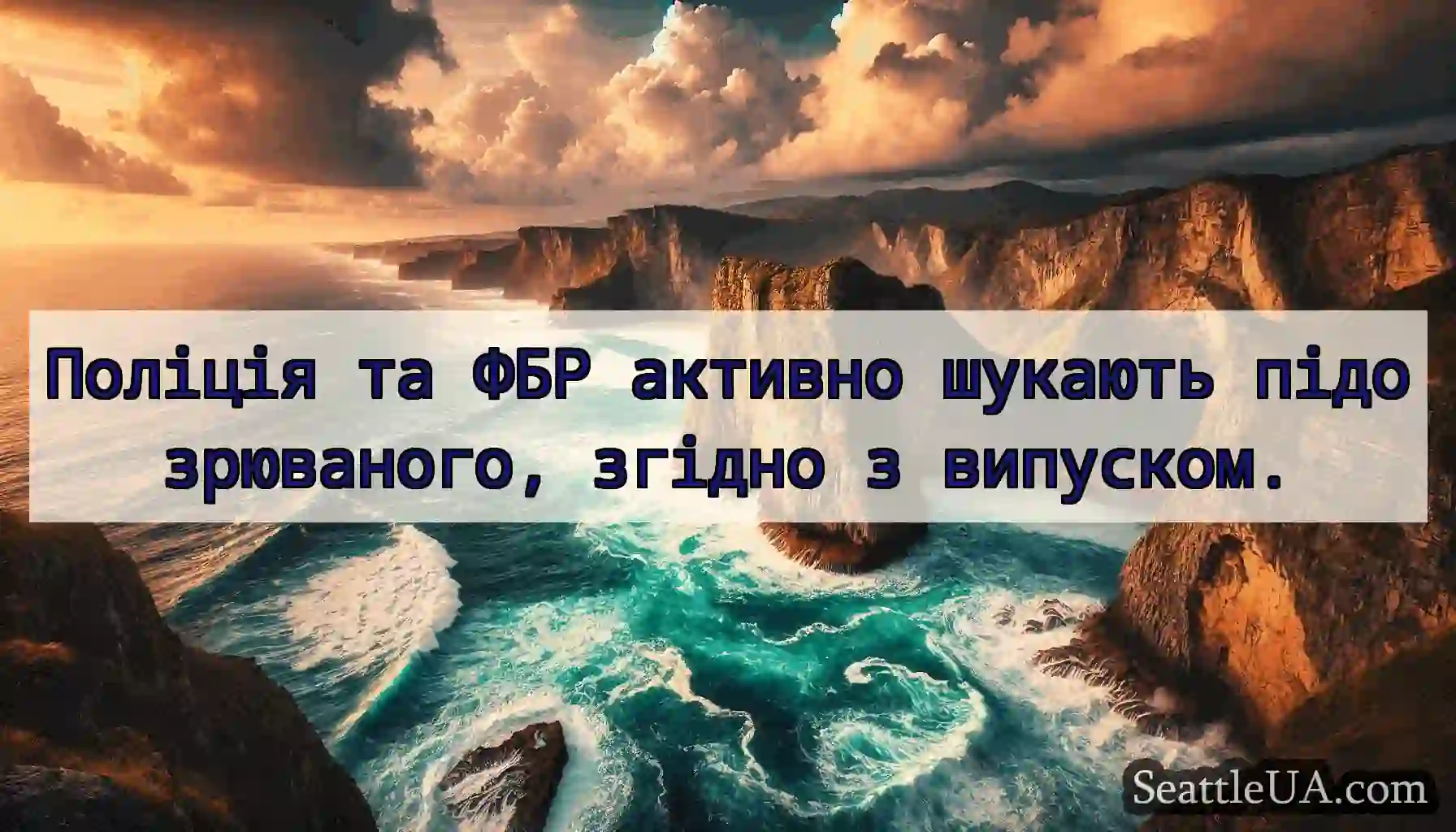 Поліція та ФБР активно шукають підозрюваного,