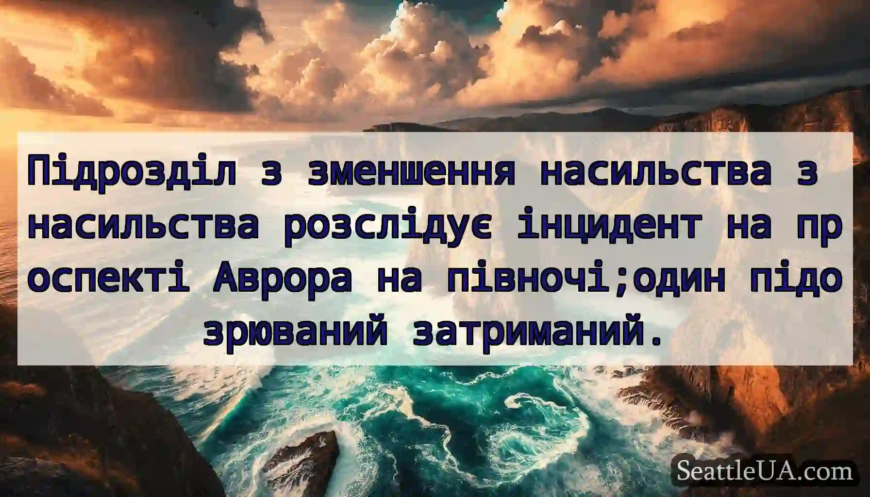 Підрозділ з зменшення насильства з насильства