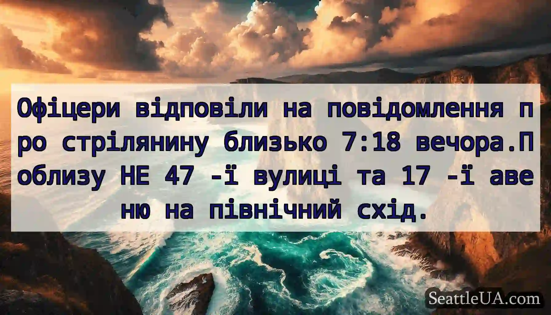 Офіцери відповіли на повідомлення про стрілянину