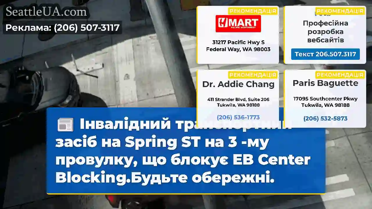 Інвалідний транспортний засіб на Spring ST на 3