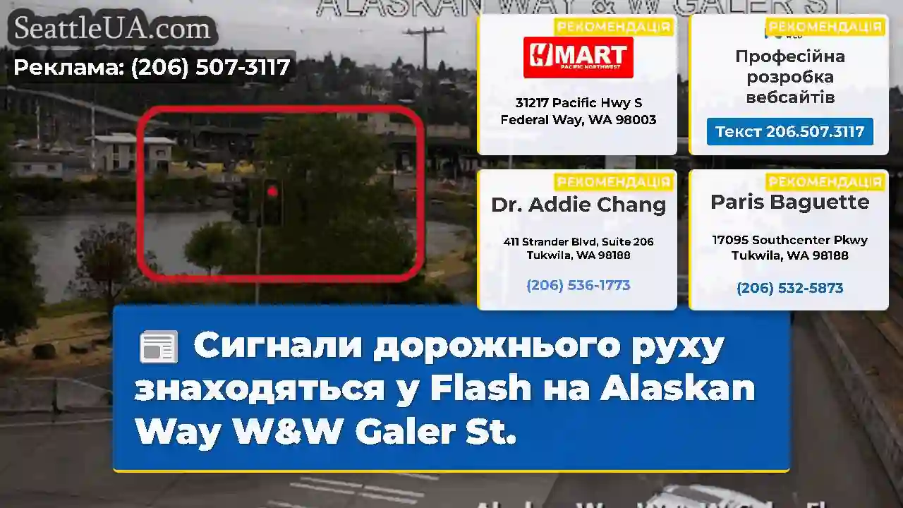 Сигнали дорожнього руху знаходяться у Flash на