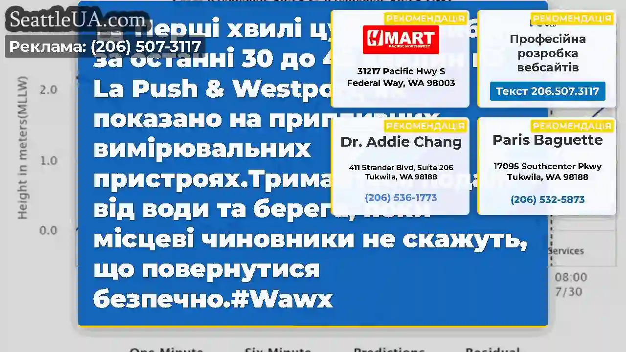 Перші хвилі цунамі прибули за останні 30 до 45