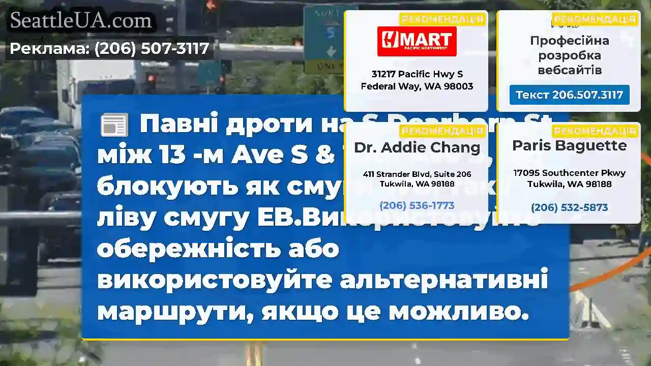 Павні дроти на S Dearborn St між 13 -м Ave S &