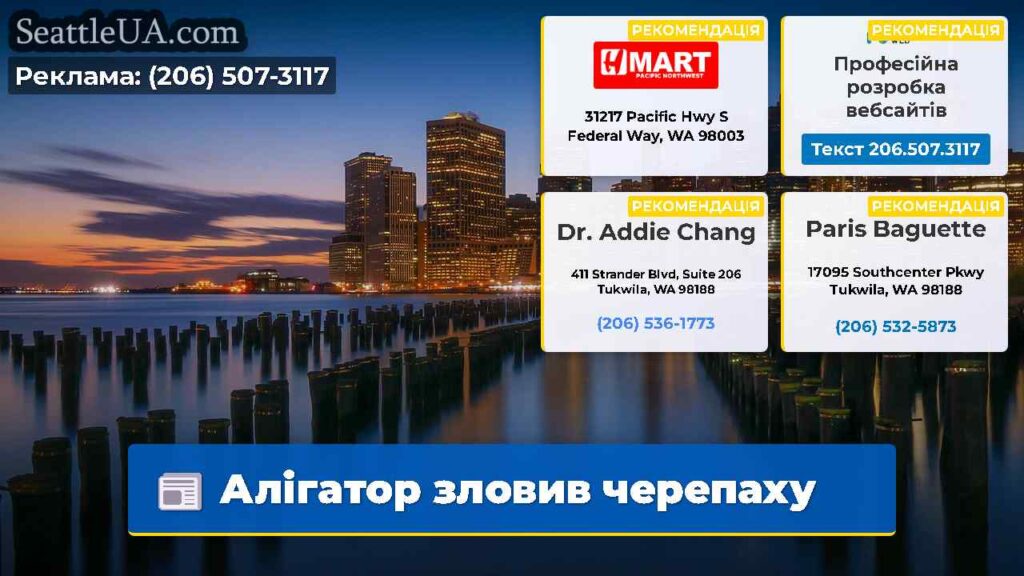 Алігатор зловив черепаху