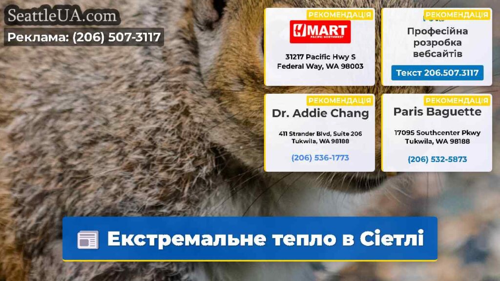 Екстремальне тепло в Сіетлі