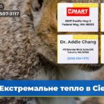 Екстремальне тепло в Сіетлі