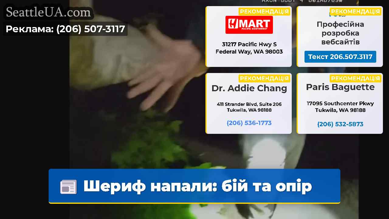 Шериф напали бій та опір