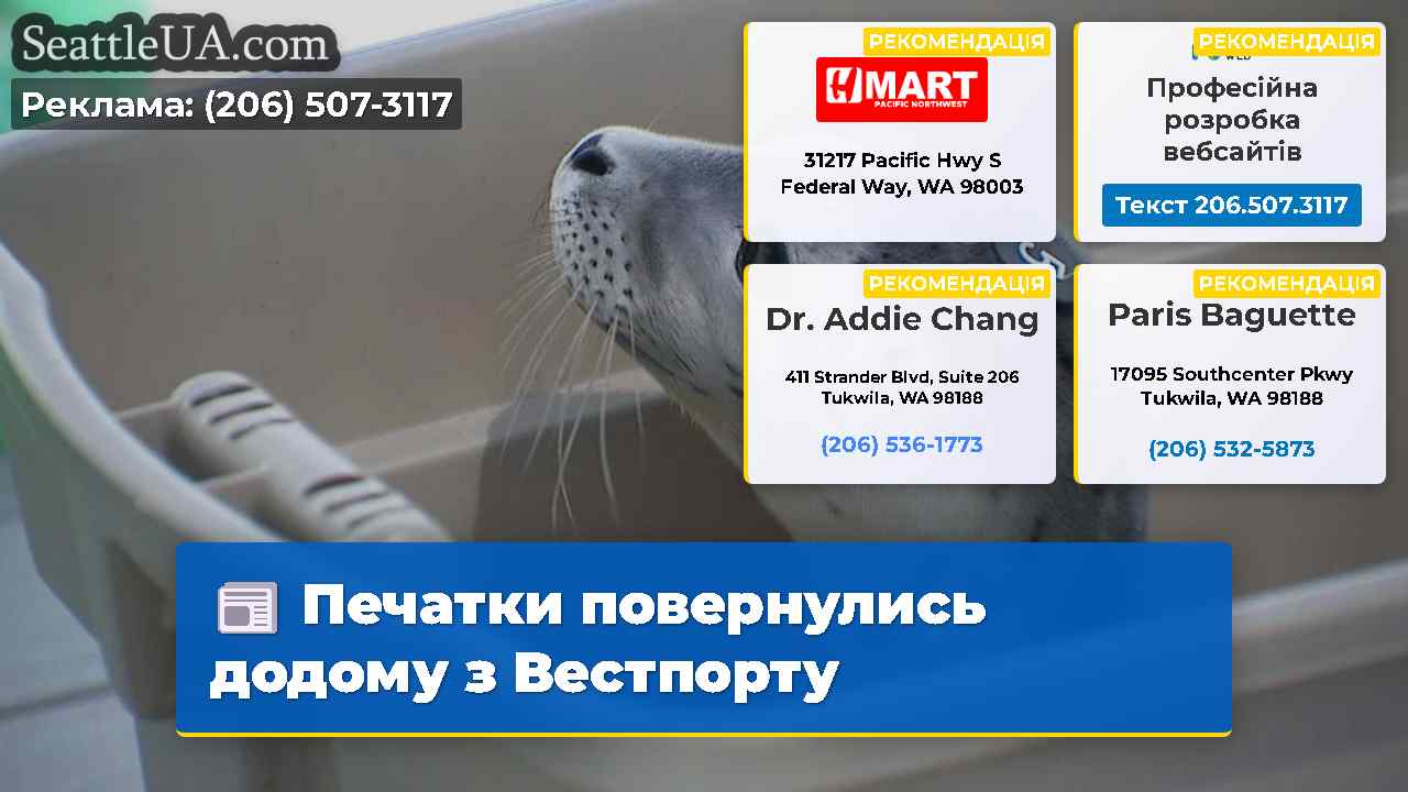Печатки повернулись додому з Вестпорту