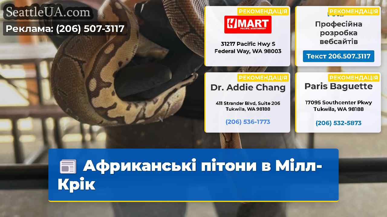 Африканські пітони в Мілл-Крік