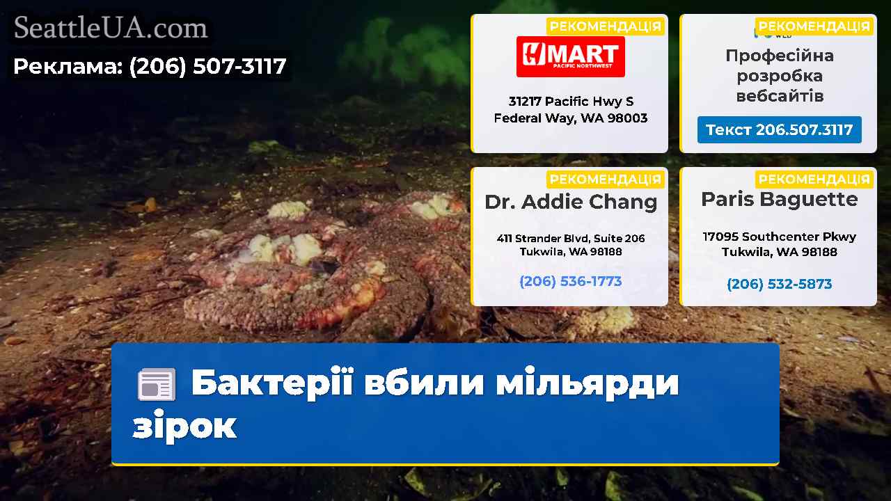 Бактерії вбили мільярди зірок