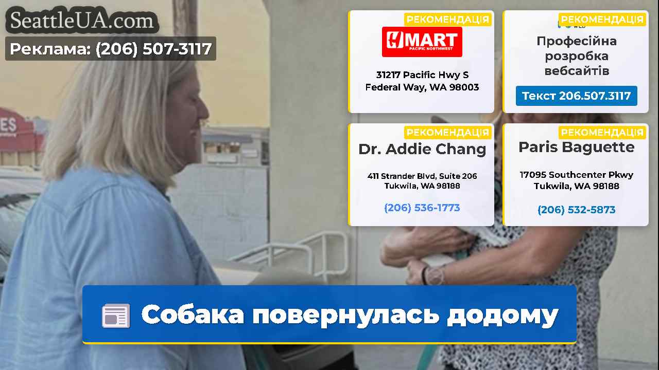 Собака повернулась додому