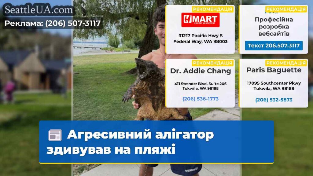 Агресивний алігатор здивував на пляжі