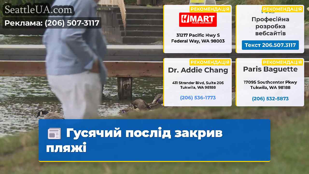 Гусячий послід закрив пляжі