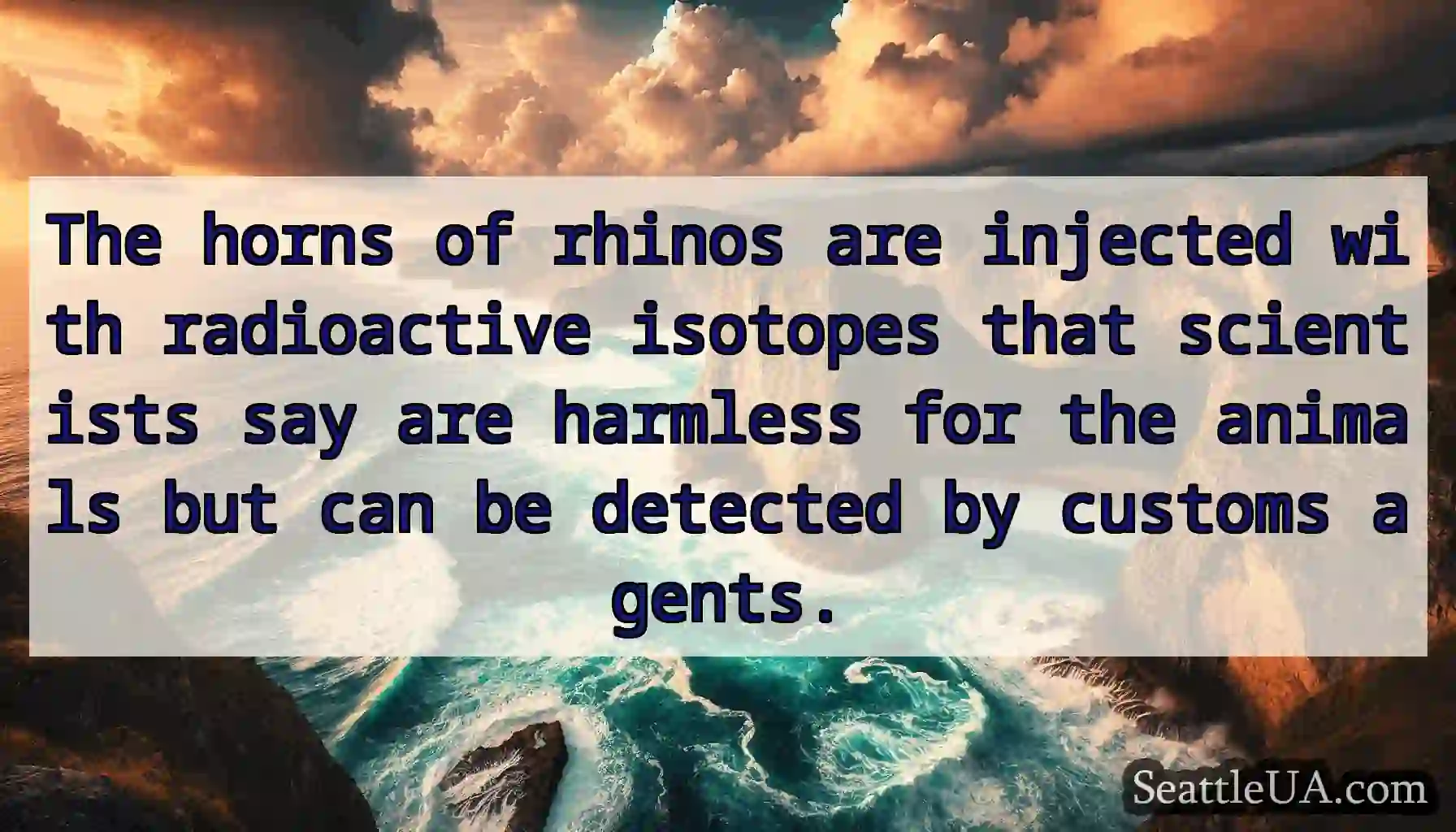 The horns of rhinos are injected with radioactive