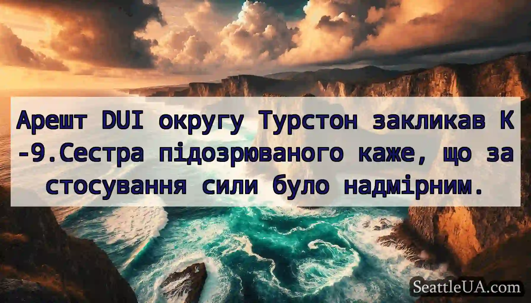 Арешт DUI округу Турстон закликав К-9.Сестра