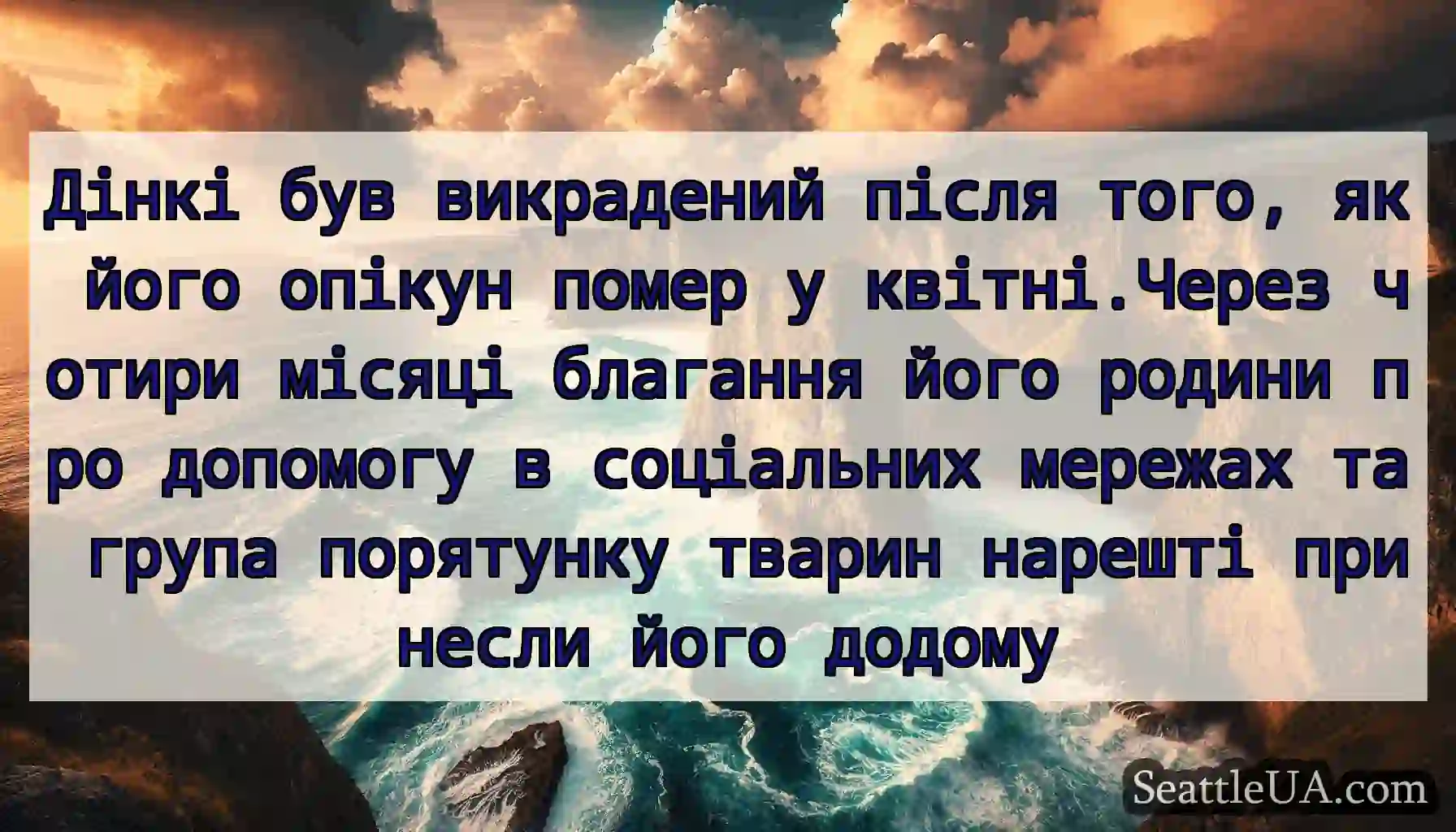 Дінкі був викрадений після того, як його опікун