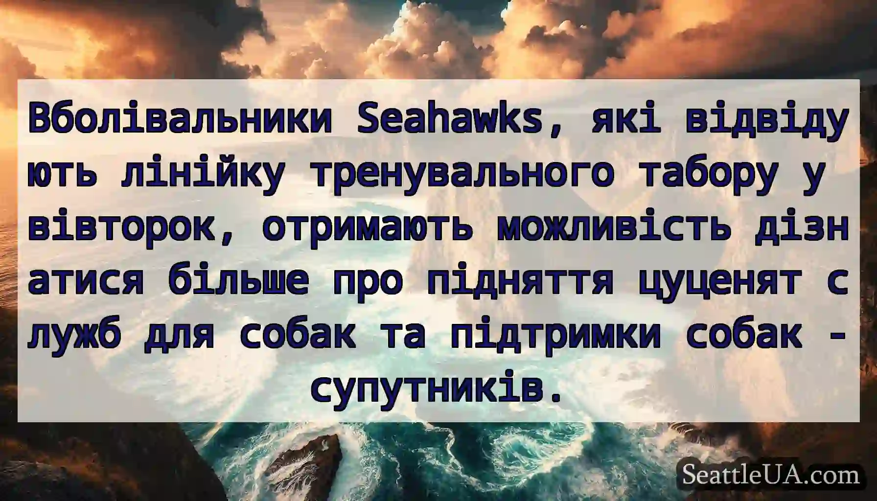 Вболівальники Seahawks, які відвідують лінійку