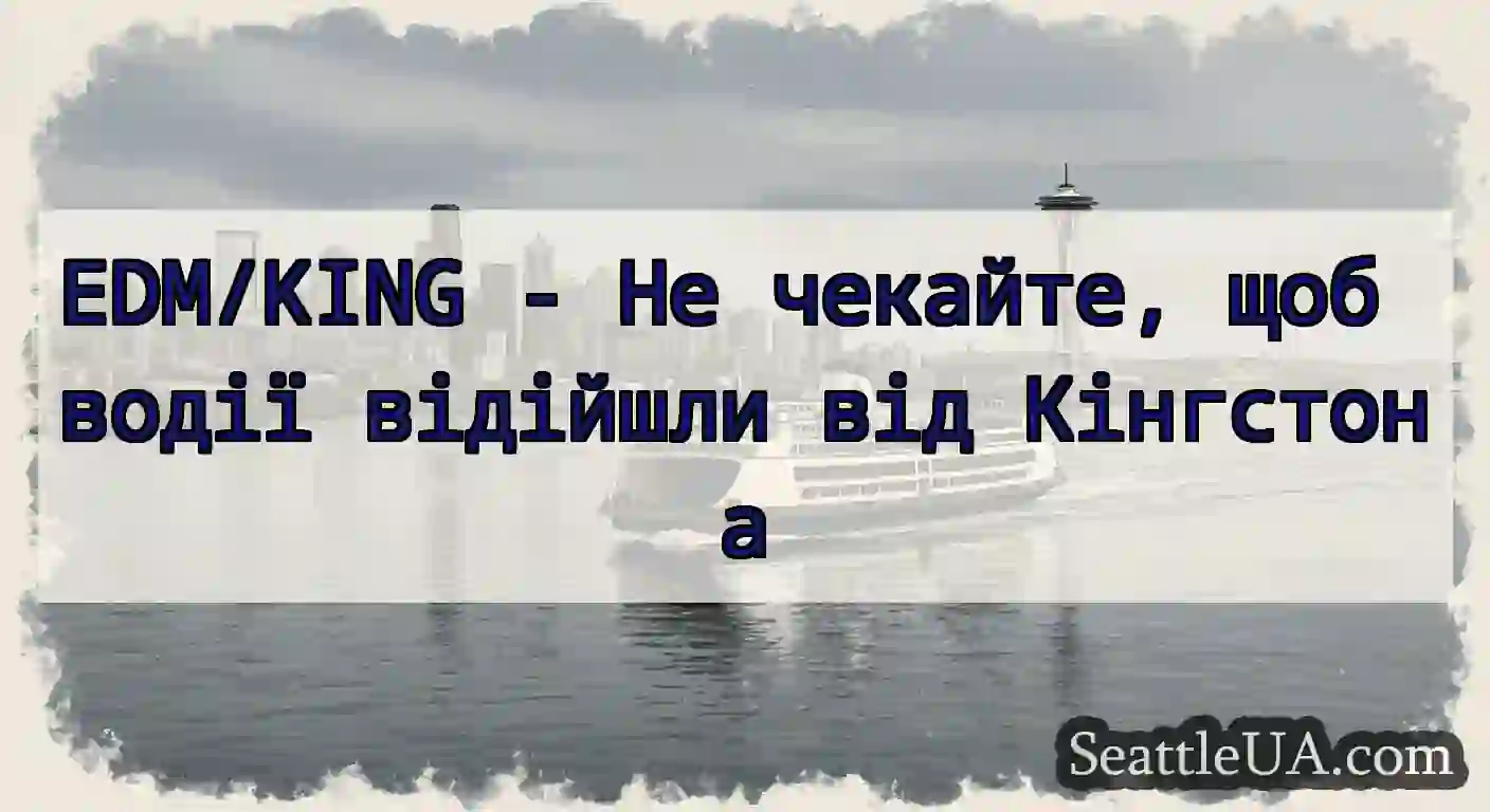 EDM/KING - Не чекайте, щоб водії відійшли від