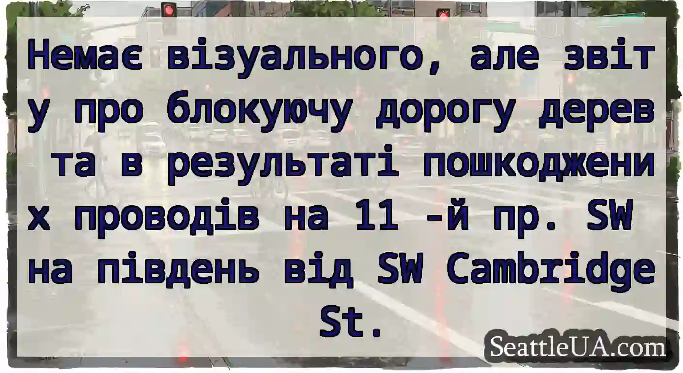 Немає візуального, але звіту про блокуючу дорогу