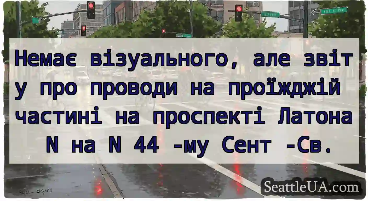 Немає візуального, але звіту про проводи на